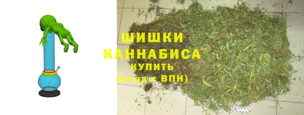 эйфоретик Бородино