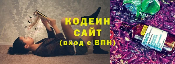 эйфоретик Бородино